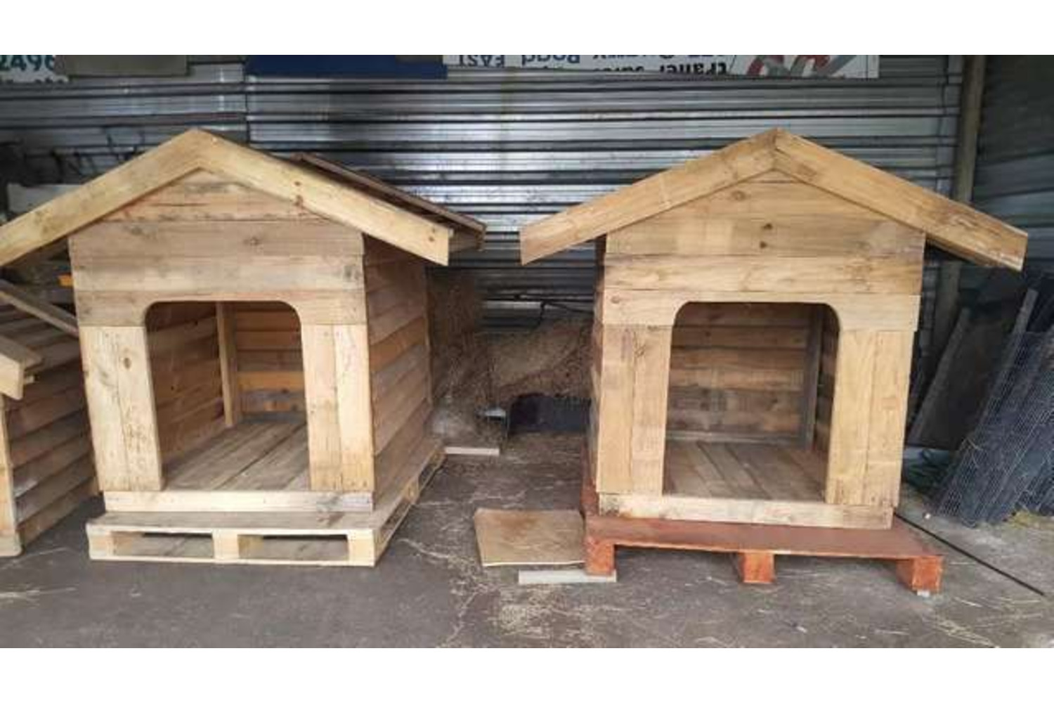 Kennels for large breed dogs